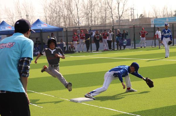 2019MLB PlayBall!青少年棒球联赛开战 大成响尾蛇剑指三连冠