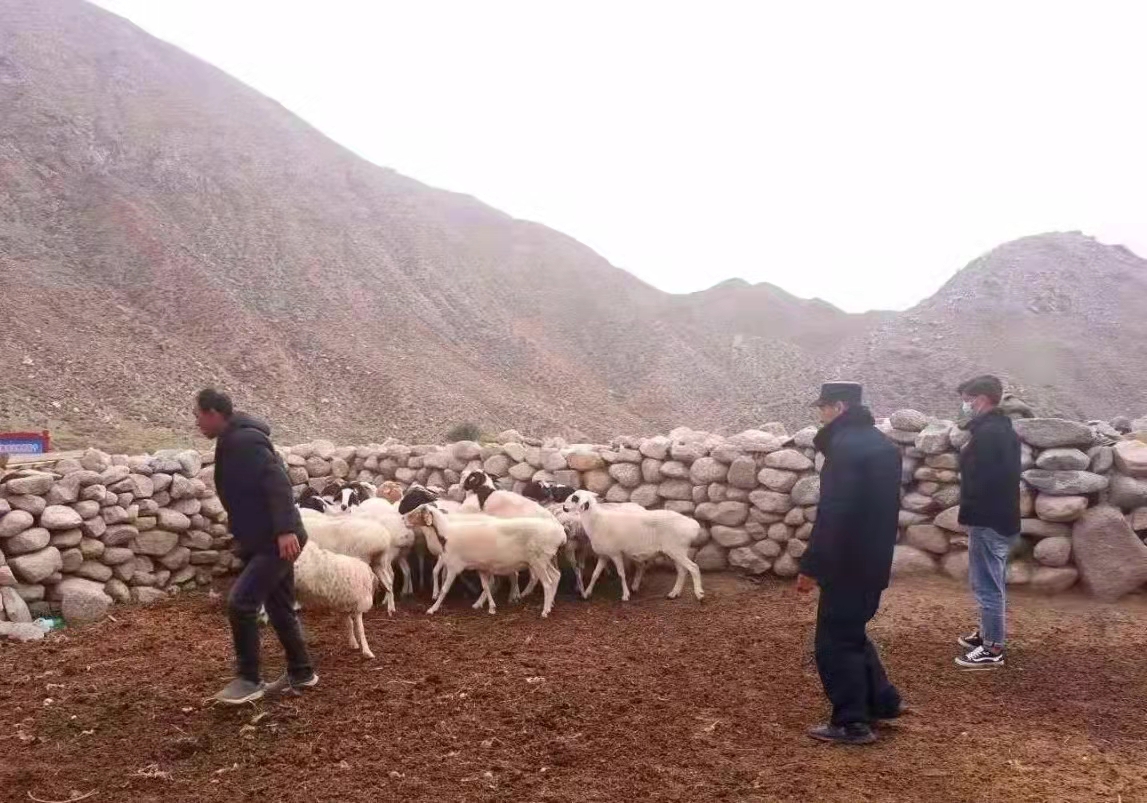 新疆和硕：红山义警，让“枫桥经验”在牧区落地生根